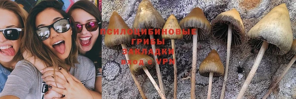 трава Семикаракорск