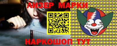 a pvp Новозыбков