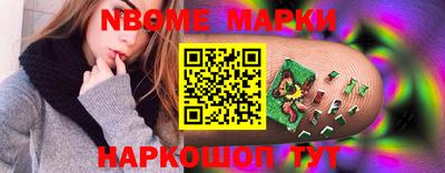 a pvp Новозыбков