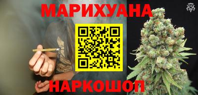 a pvp Новозыбков