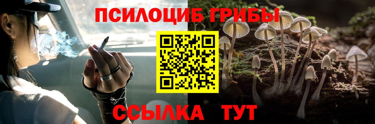 Галлюциногенные грибы мицелий Югорск